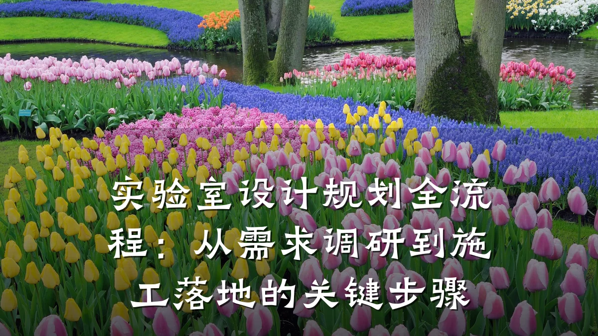 实验室设计规划全流程:从需求调研到施工落地的关键步骤