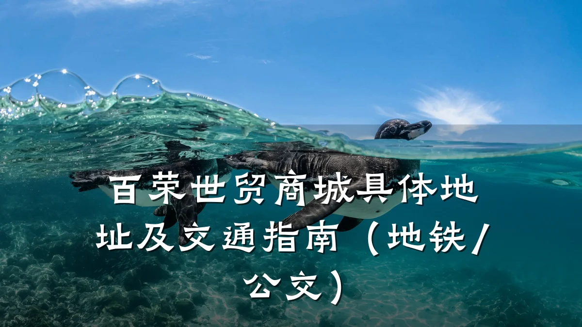 百荣世贸商城具体地址及交通指南(地铁/公交)