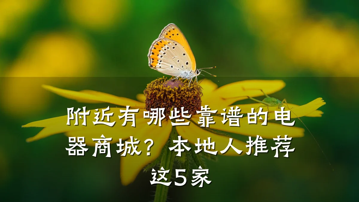 附近有哪些靠谱的电器商城？本地人推荐这5家