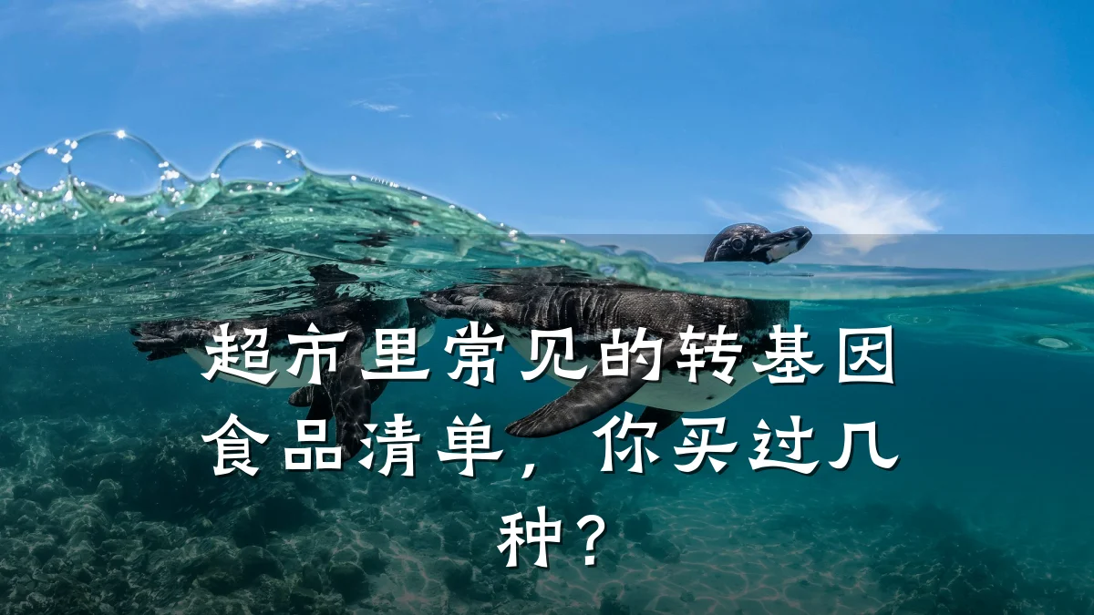 超市里常见的转基因食品清单，你买过几种？