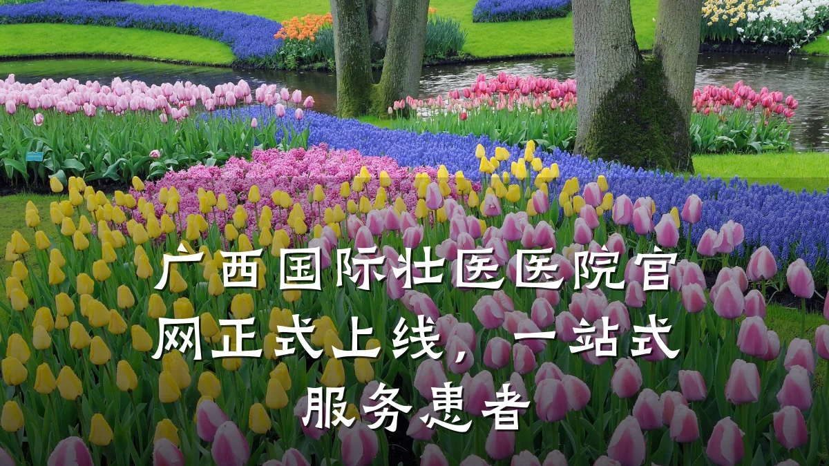 广西国际壮医医院官网正式上线,一站式服务患者