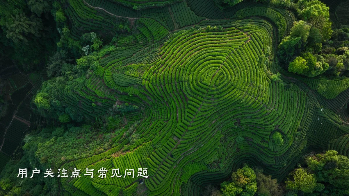 用户关注点与常见问题