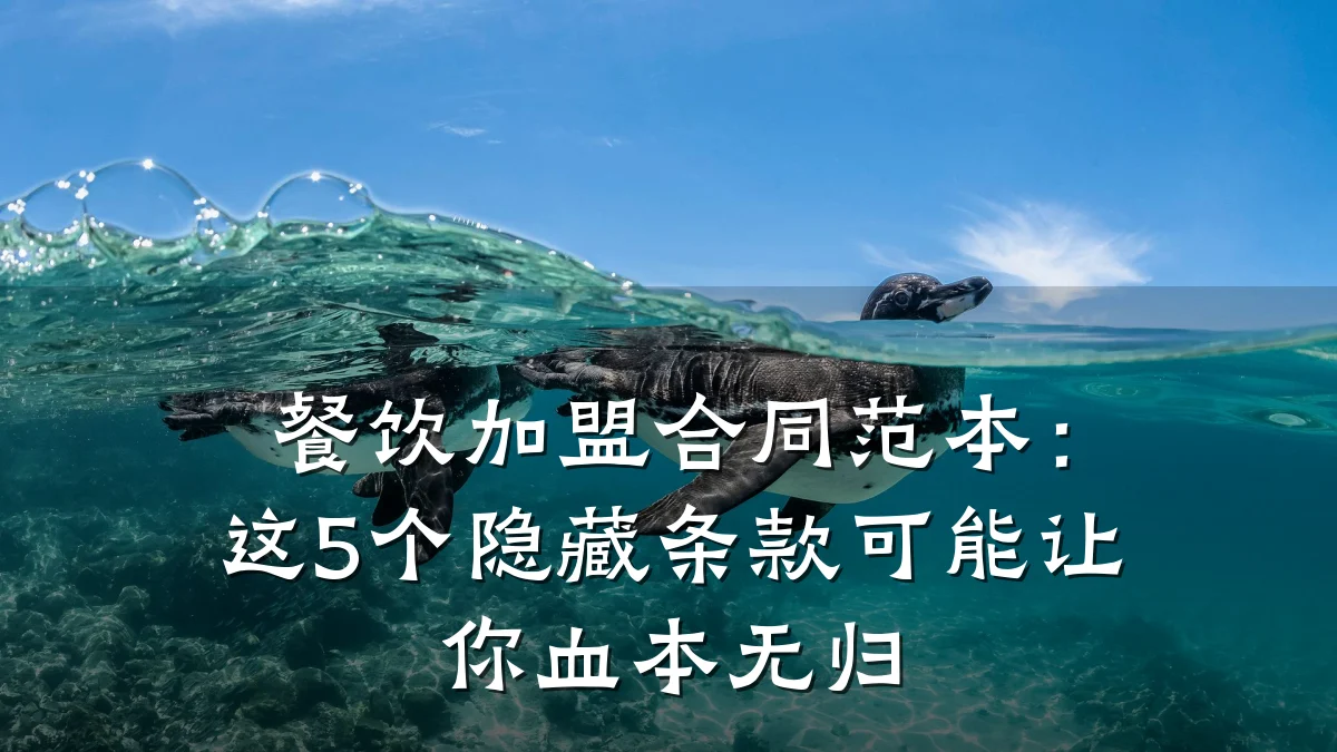 餐饮加盟合同范本：这5个隐藏条款可能让你血本无归
