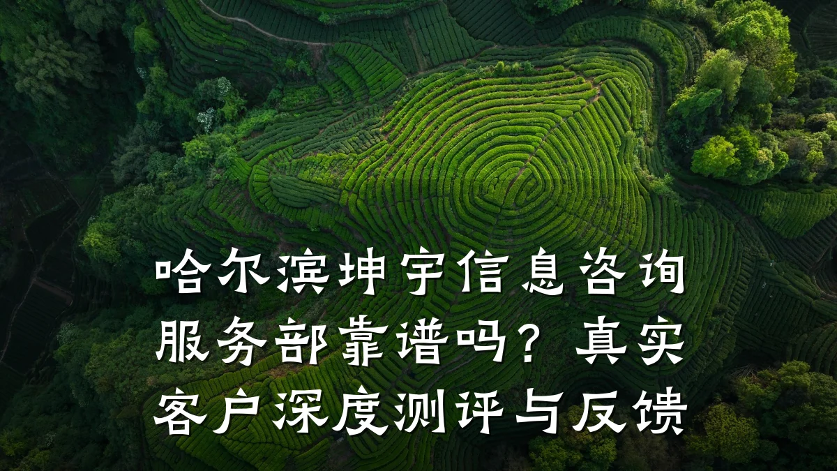 哈尔滨坤宇信息咨询服务部靠谱吗?真实客户深度测评与反馈