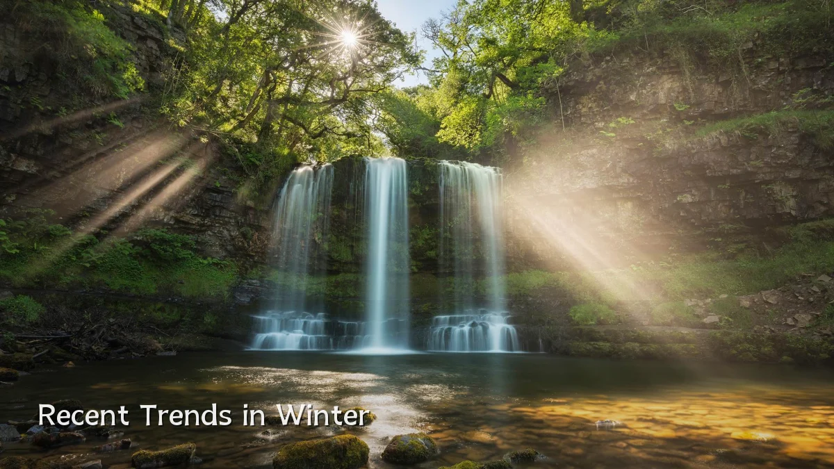 Recent Trends in Winter