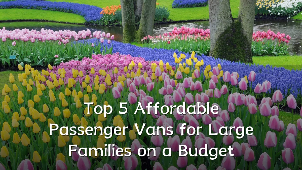 Top 5 Affordable Passenger Vans for Large Families on a Budget