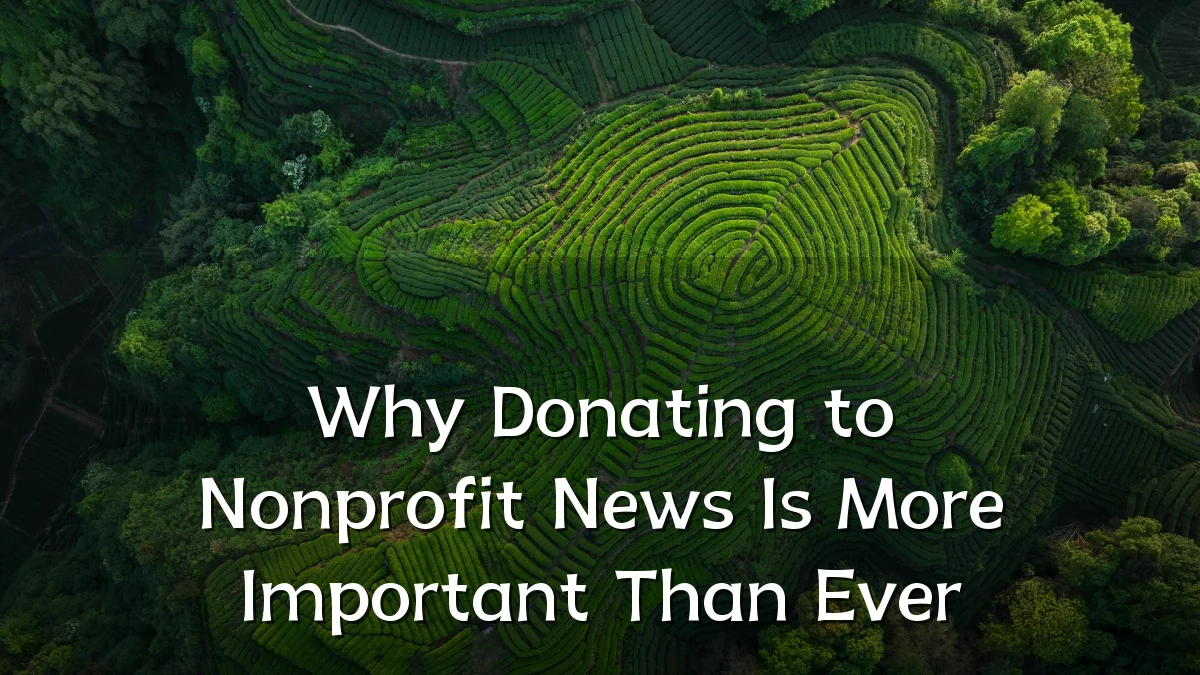 Why Donating to Nonprofit News Is More Important Than Ever