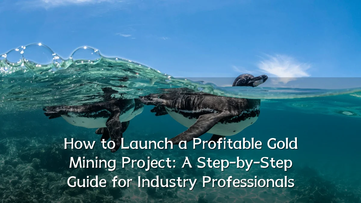 How to Launch a Profitable Gold Mining Project: A Step-by-Step Guide for Industry Professionals