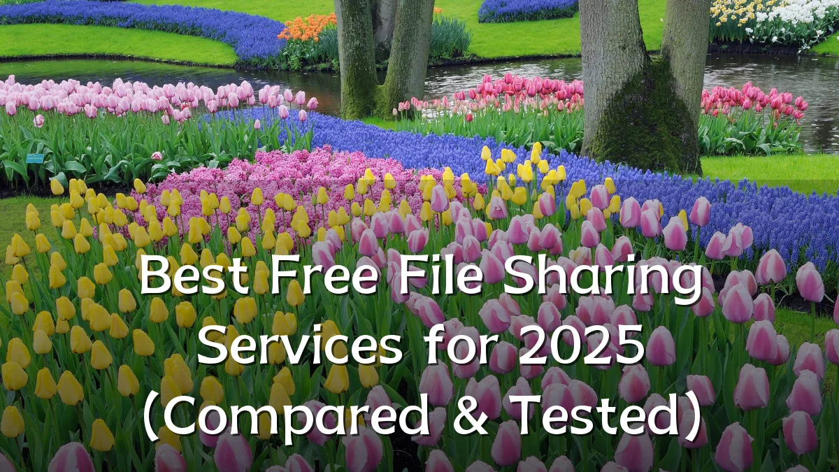 Best Free File Sharing Services for 2025 (Compared & Tested)