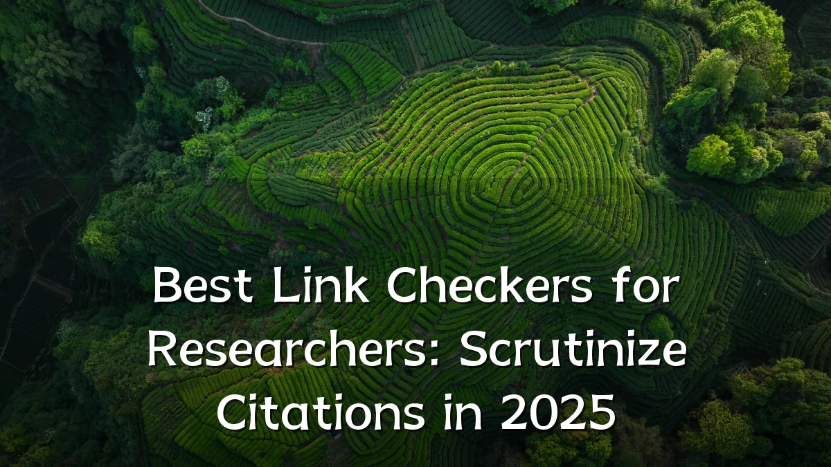Best Link Checkers for Researchers: Scrutinize Citations in 2025
