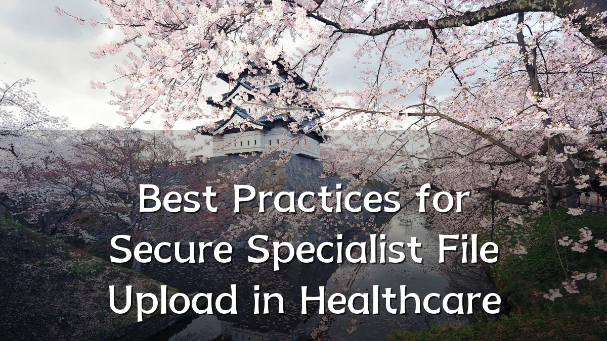 Best Practices for Secure Specialist File Upload in Healthcare