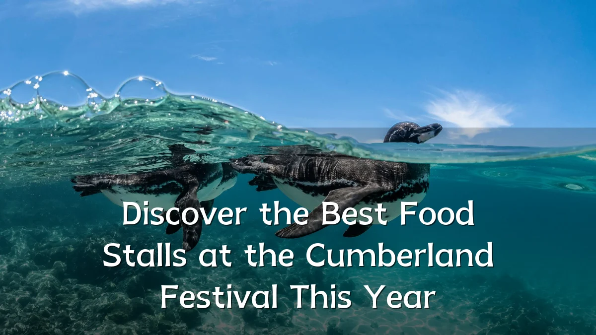 Discover the Best Food Stalls at the Cumberland Festival This Year