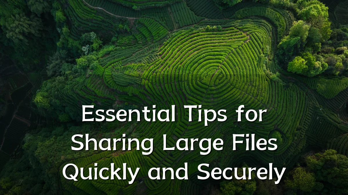 Essential Tips for Sharing Large Files Quickly and Securely