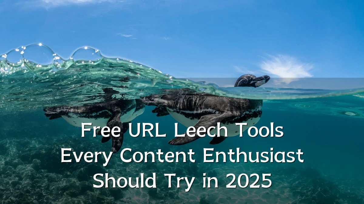 Free URL Leech Tools Every Content Enthusiast Should Try in 2025