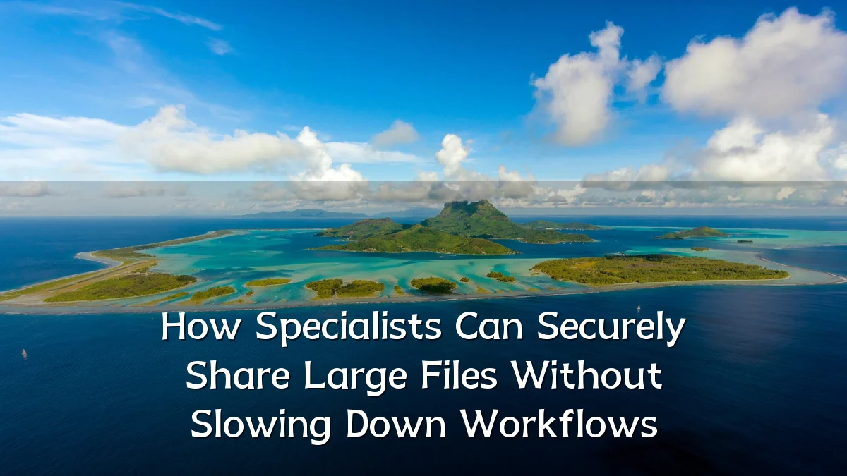 How Specialists Can Securely Share Large Files Without Slowing Down Workflows