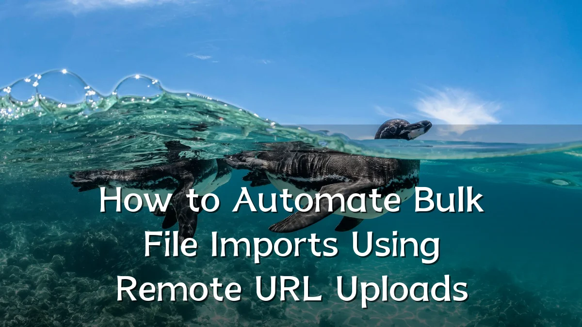 How to Automate Bulk File Imports Using Remote URL Uploads