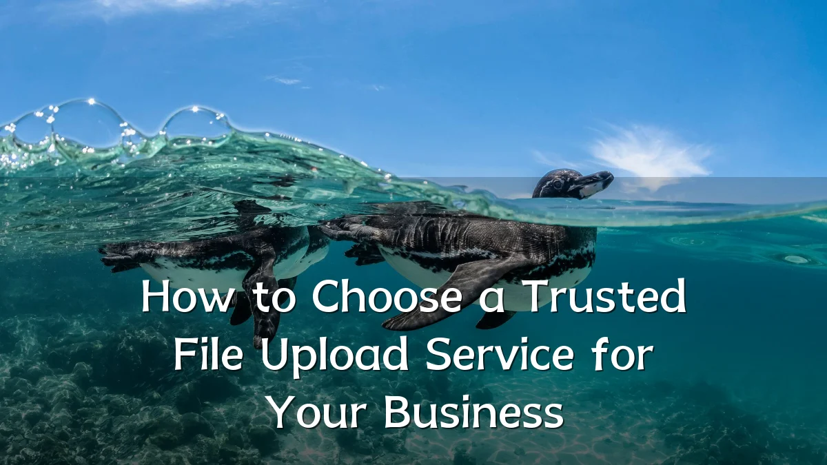 How to Choose a Trusted File Upload Service for Your Business