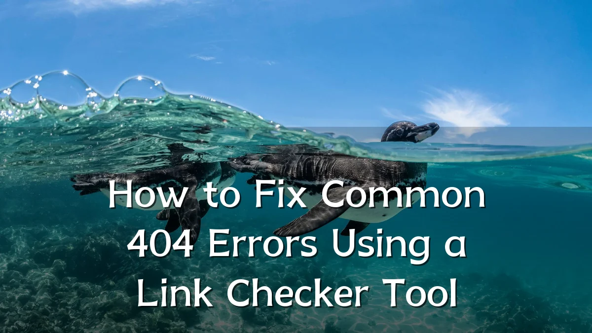 How to Fix Common 404 Errors Using a Link Checker Tool
