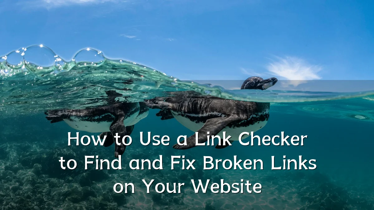 How to Use a Link Checker to Find and Fix Broken Links on Your Website