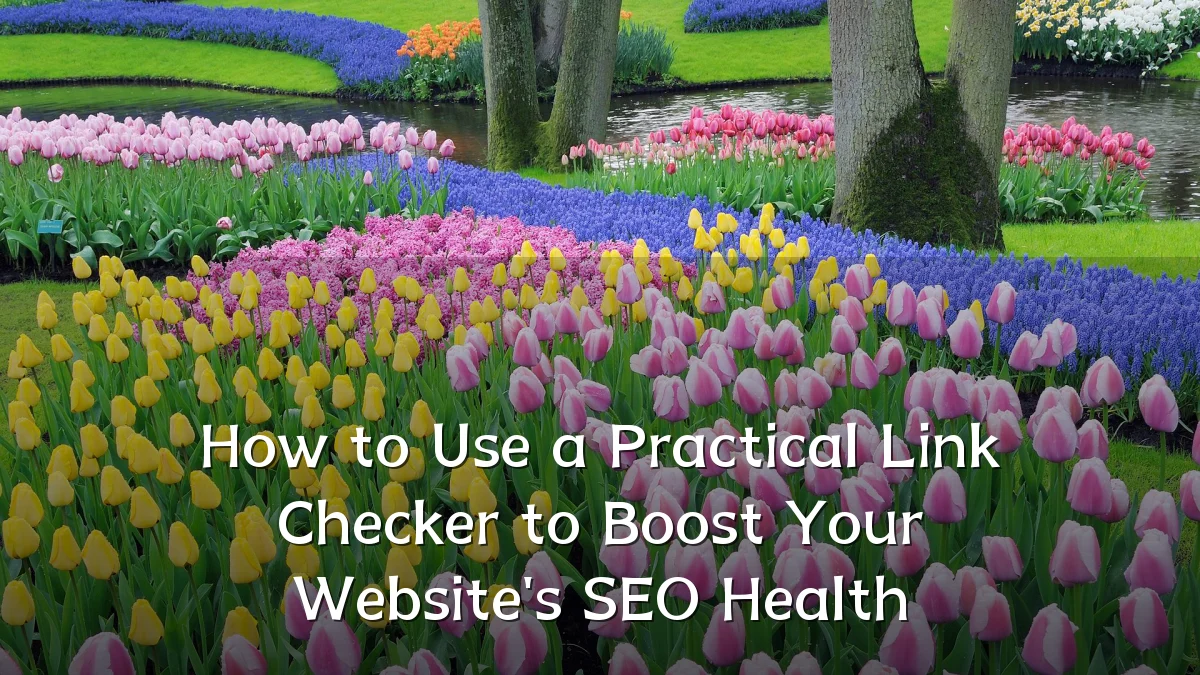 How to Use a Practical Link Checker to Boost Your Website's SEO Health