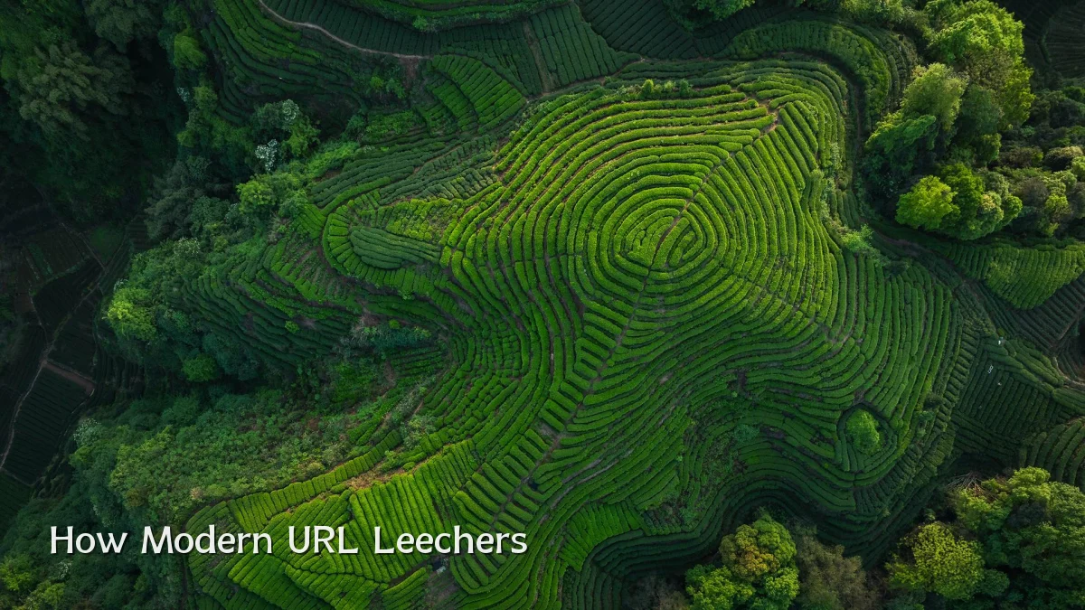 How Modern URL Leechers