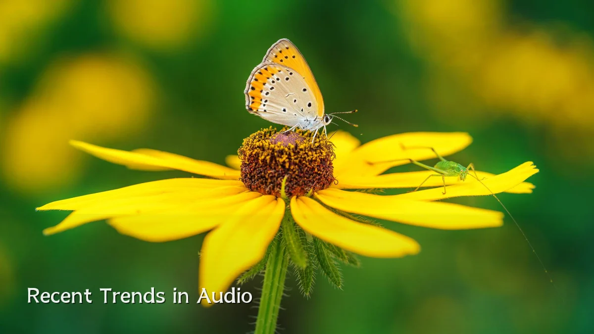 Recent Trends in Audio