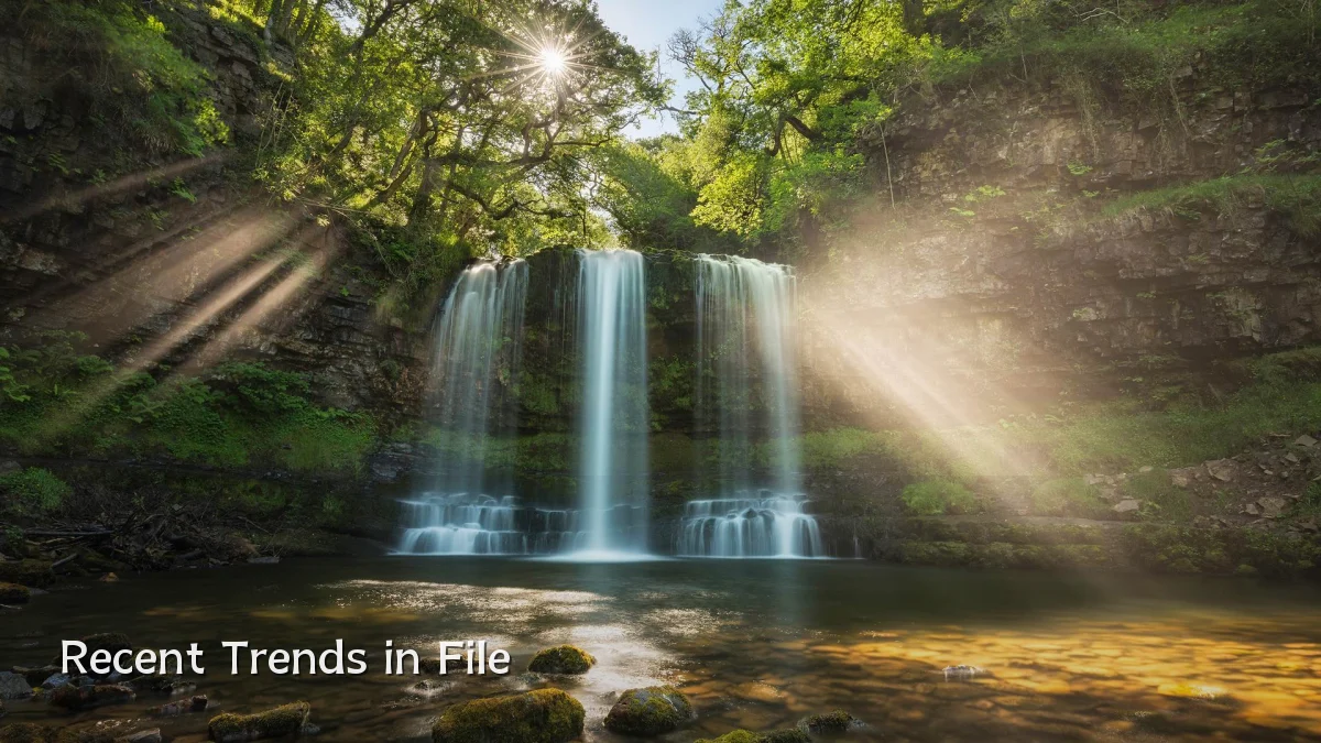 Recent Trends in File
