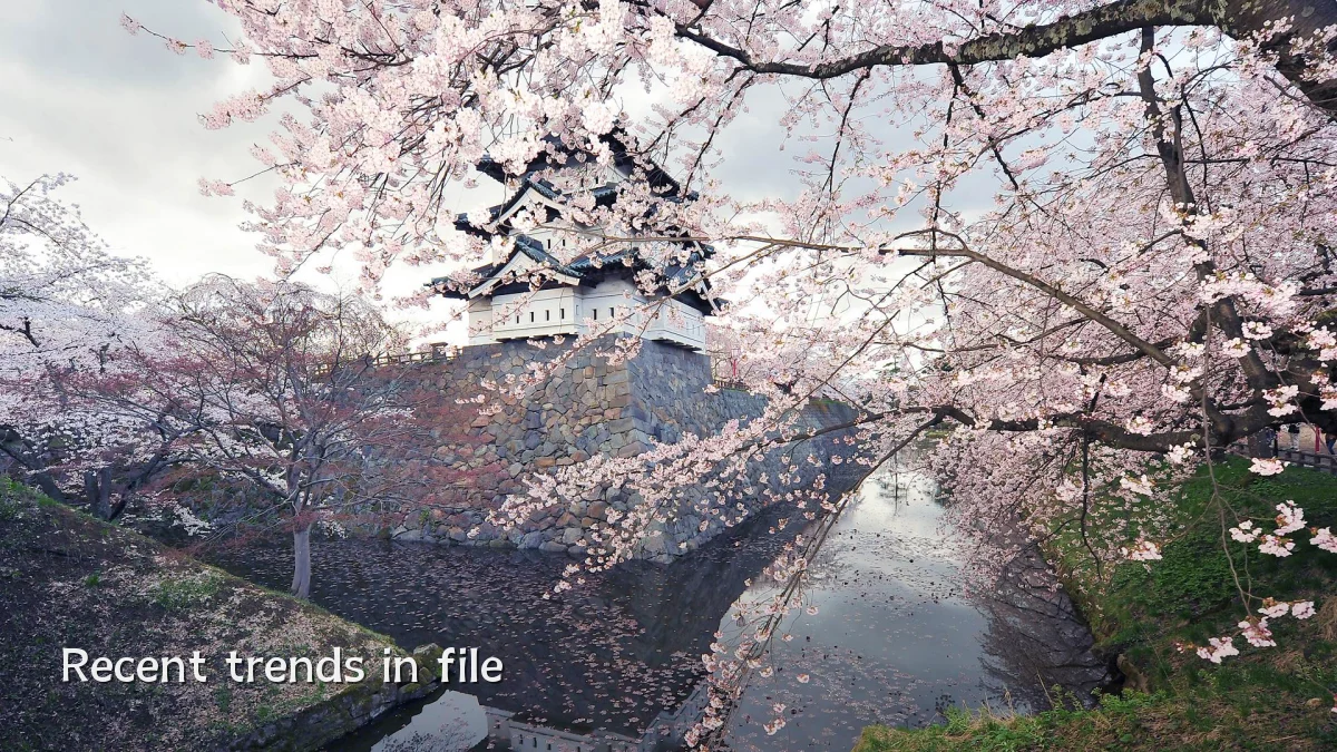 Recent trends in file