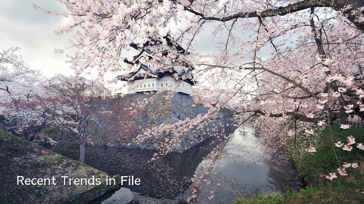 Recent Trends in File