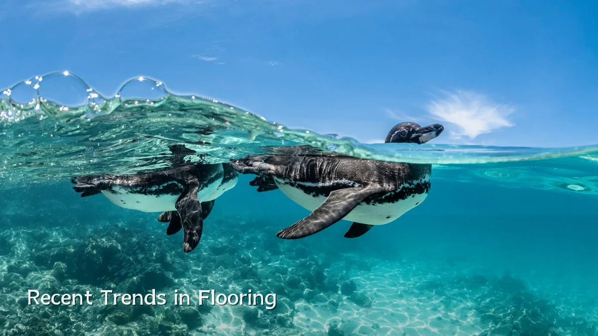 Recent Trends in Flooring
