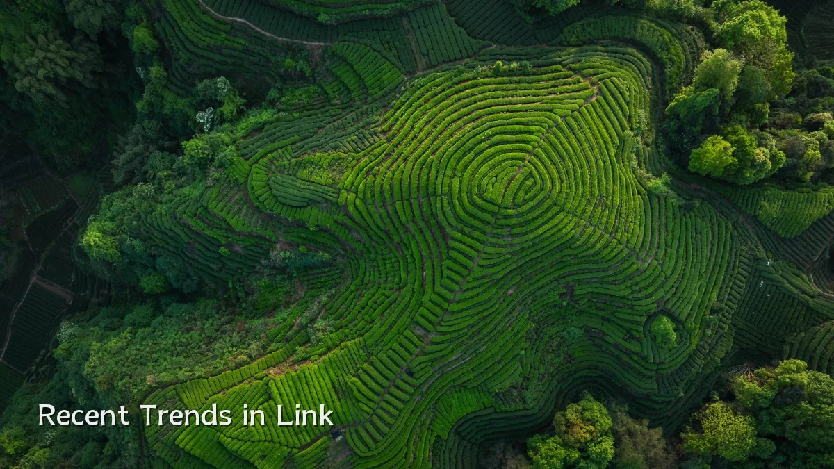 Recent Trends in Link