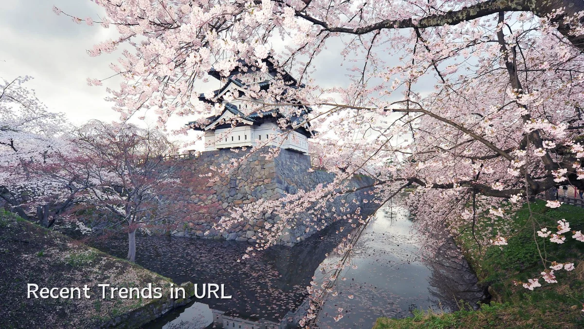 Recent Trends in URL