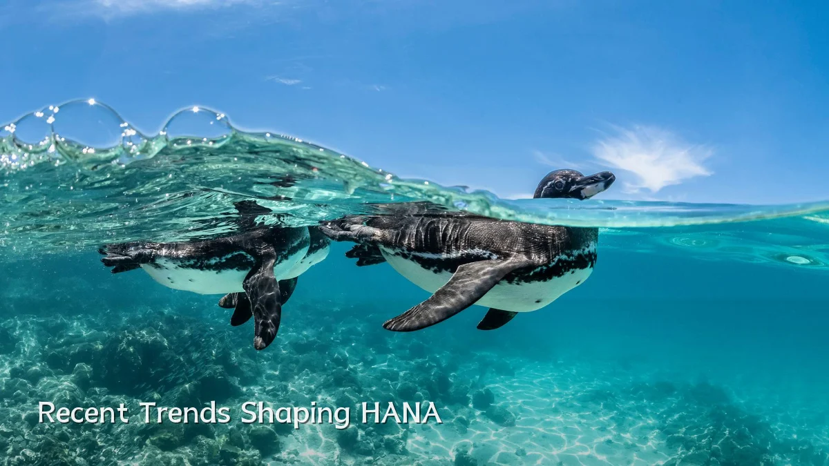 Recent Trends Shaping HANA