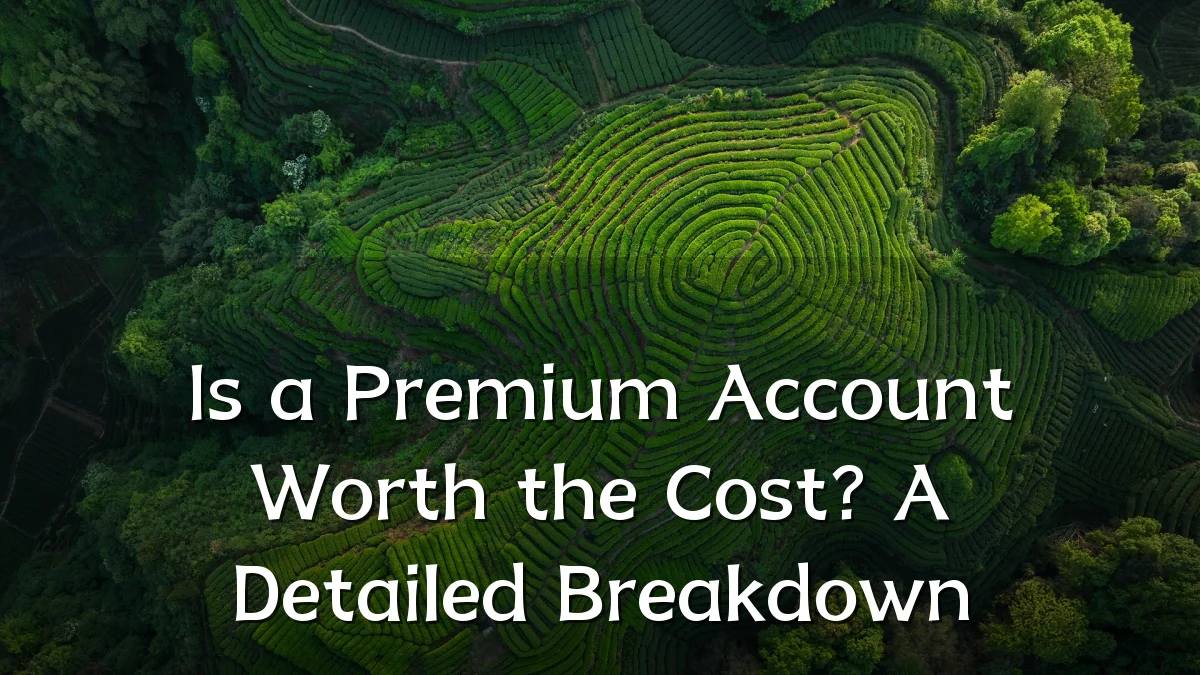Is a Premium Account Worth the Cost? A Detailed Breakdown