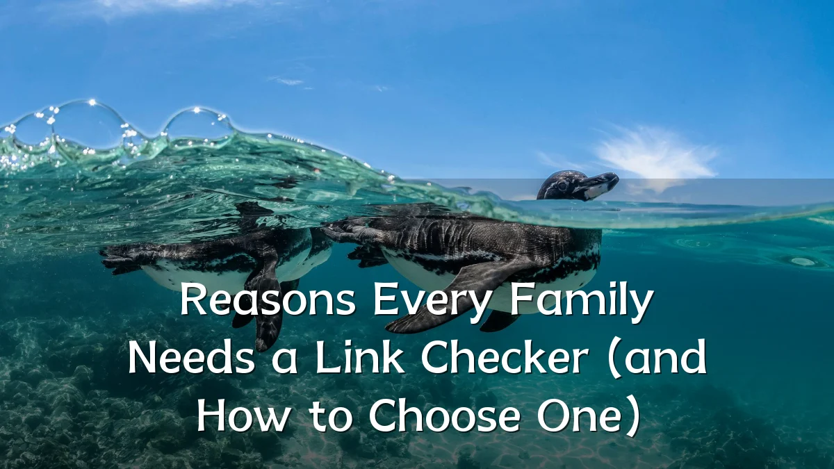 Reasons Every Family Needs a Link Checker (and How to Choose One)