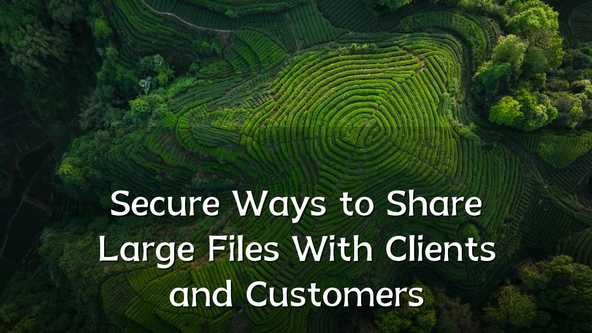 Secure Ways to Share Large Files With Clients and Customers