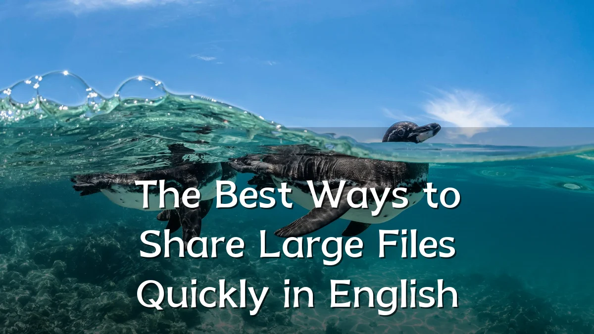 The Best Ways to Share Large Files Quickly in English