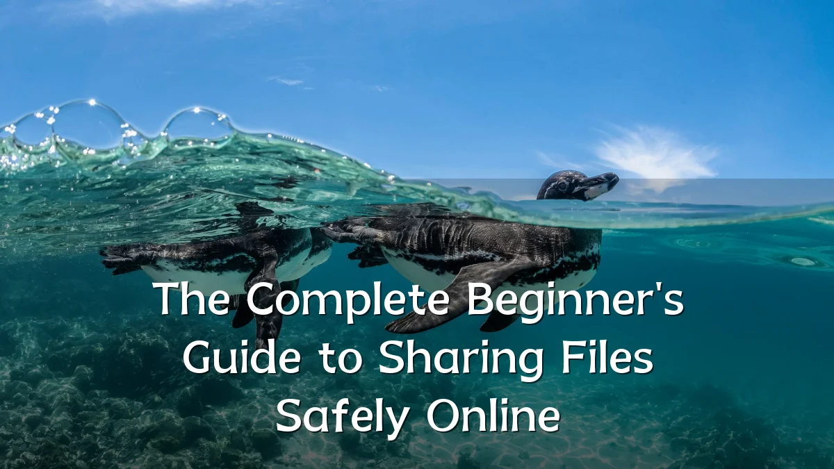 The Complete Beginner's Guide to Sharing Files Safely Online