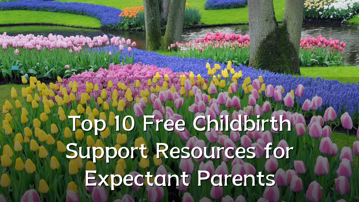 Top 10 Free Childbirth Support Resources for Expectant Parents