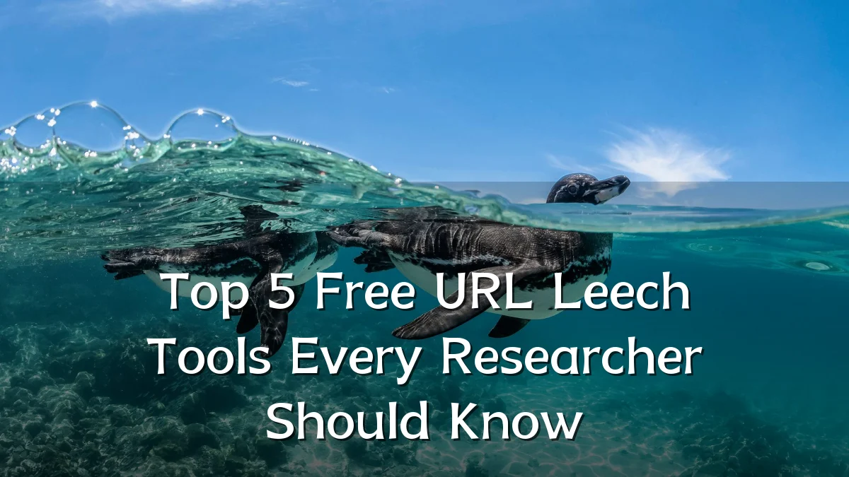 Top 5 Free URL Leech Tools Every Researcher Should Know
