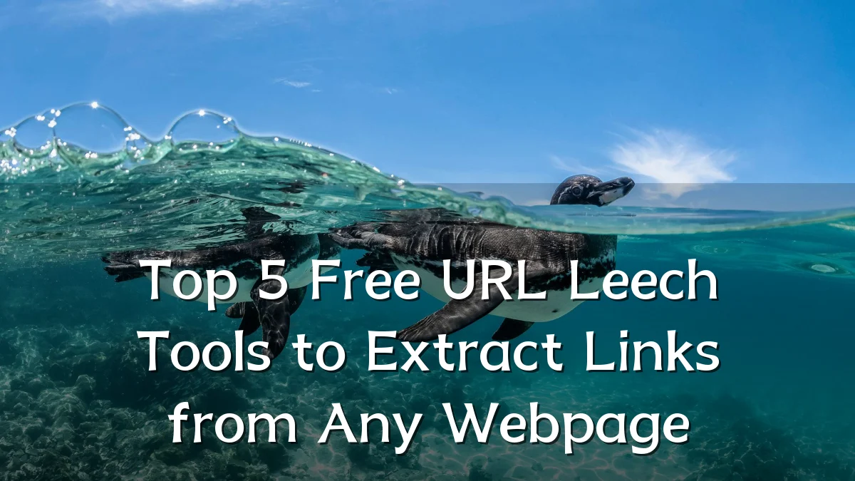 Top 5 Free URL Leech Tools to Extract Links from Any Webpage