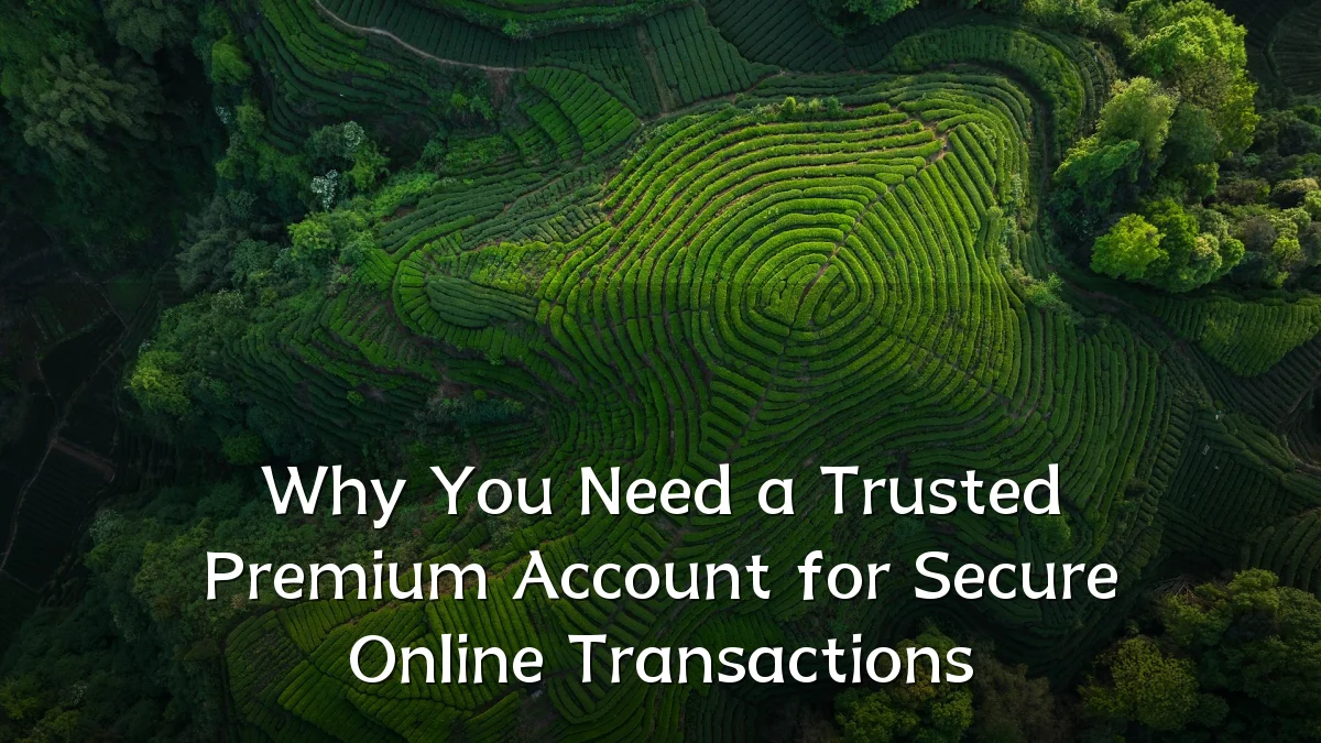 Why You Need a Trusted Premium Account for Secure Online Transactions