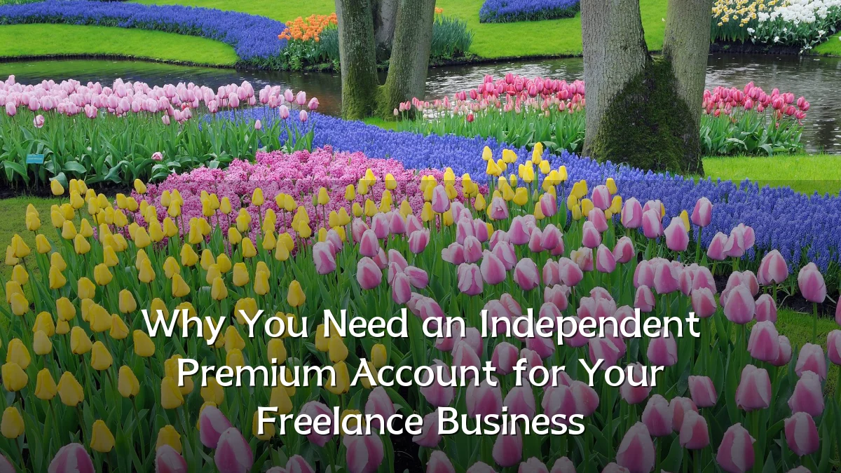 Why You Need an Independent Premium Account for Your Freelance Business