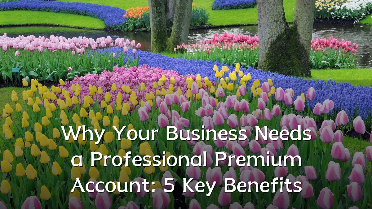 Why Your Business Needs a Professional Premium Account: 5 Key Benefits