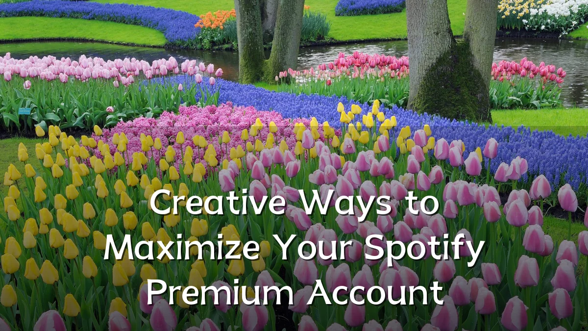 Creative Ways to Maximize Your Spotify Premium Account