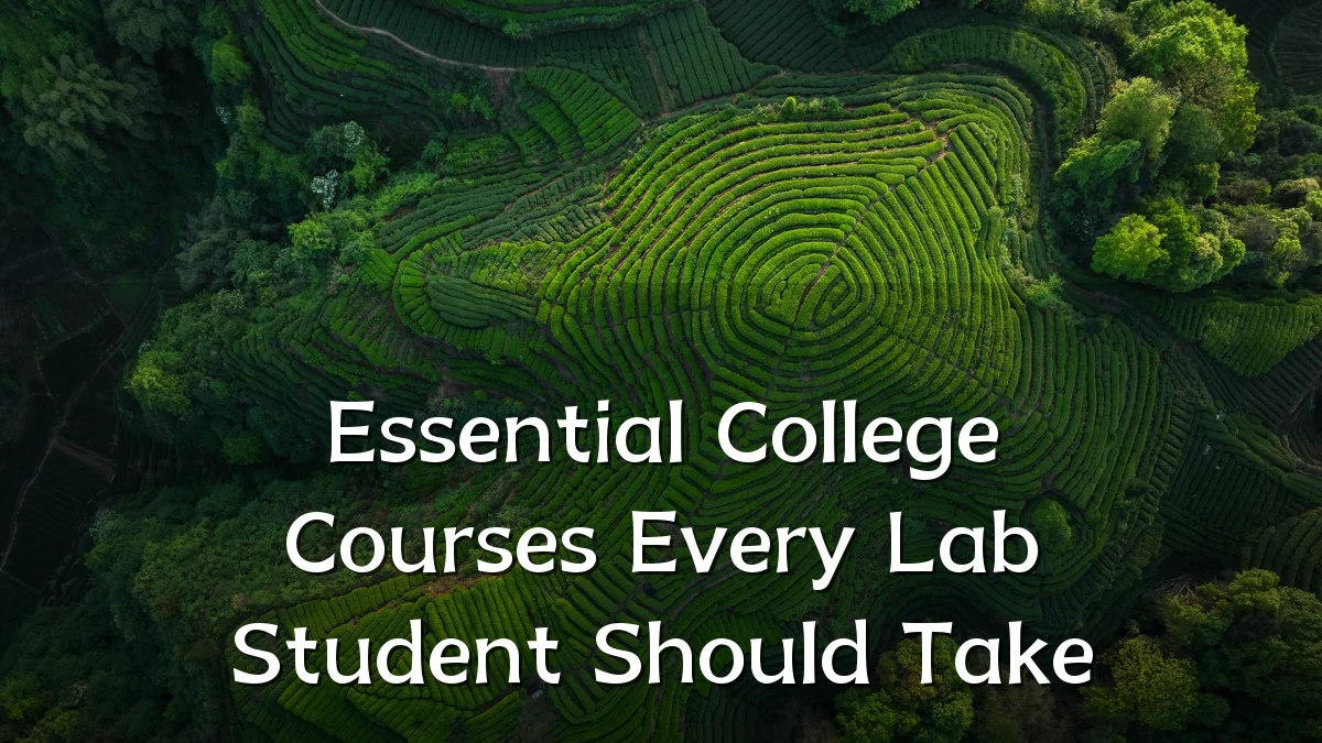 Essential College Courses Every Lab Student Should Take