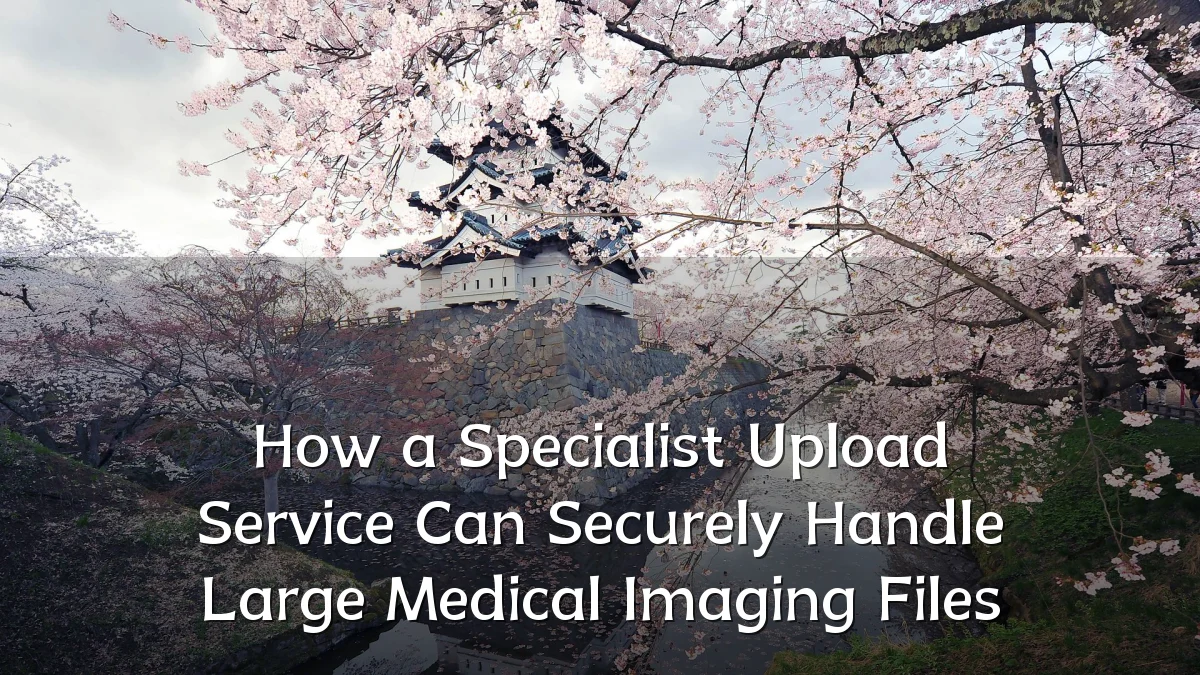 How a Specialist Upload Service Can Securely Handle Large Medical Imaging Files