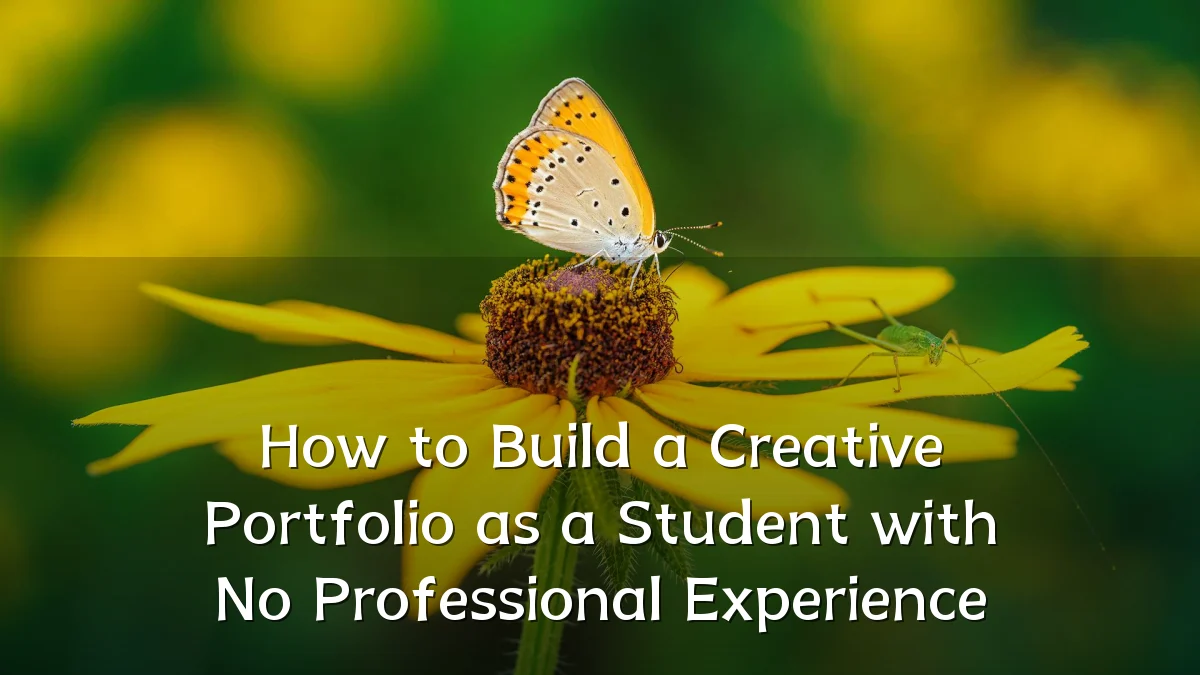 How to Build a Creative Portfolio as a Student with No Professional Experience