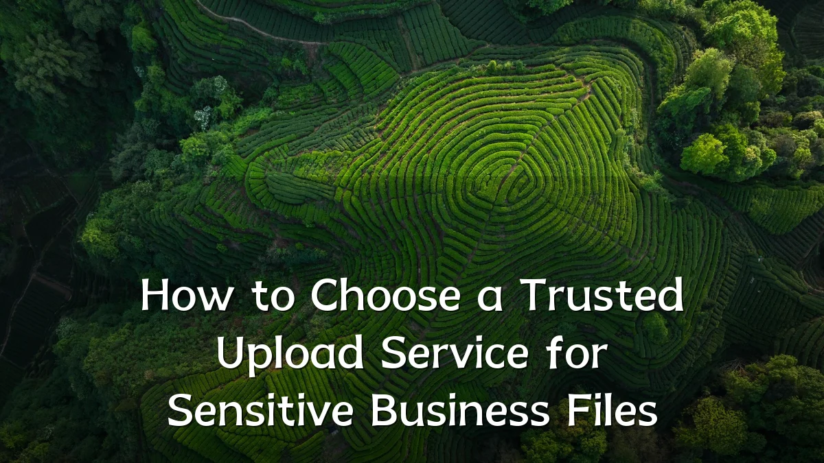 How to Choose a Trusted Upload Service for Sensitive Business Files