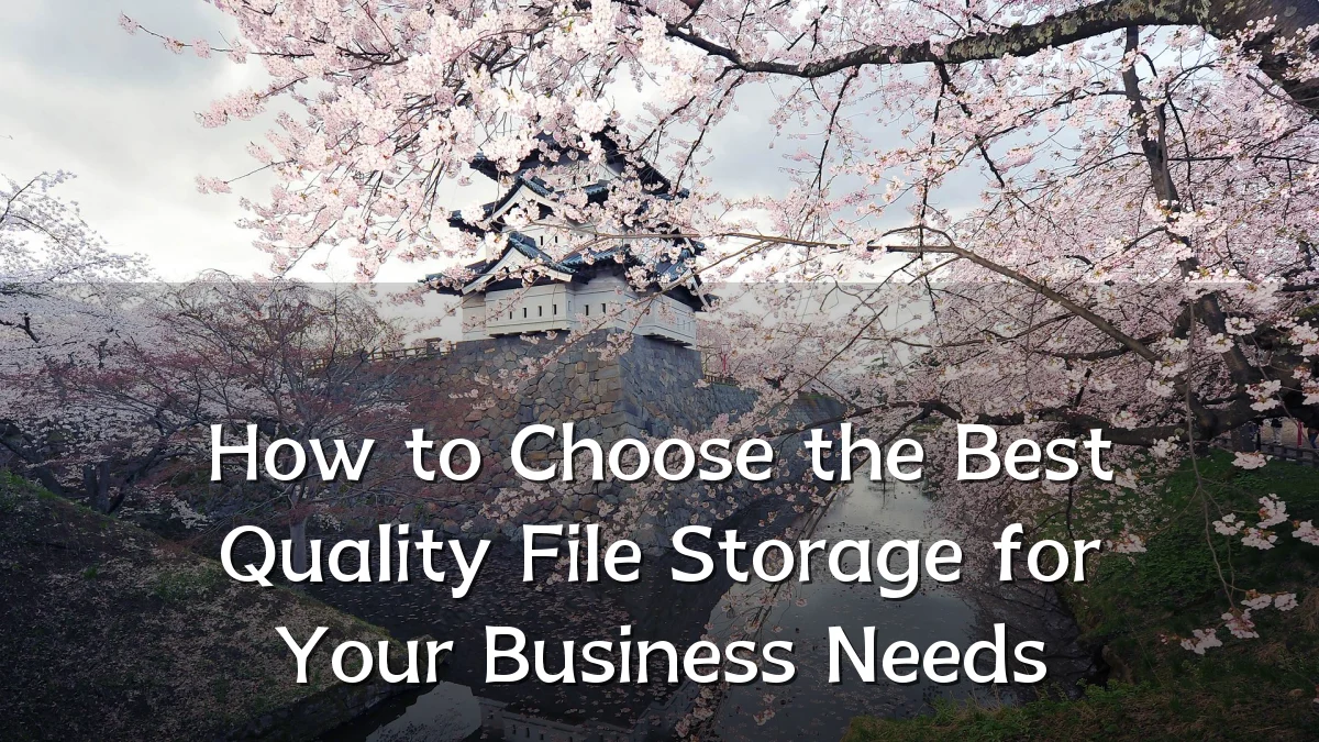 How to Choose the Best Quality File Storage for Your Business Needs
